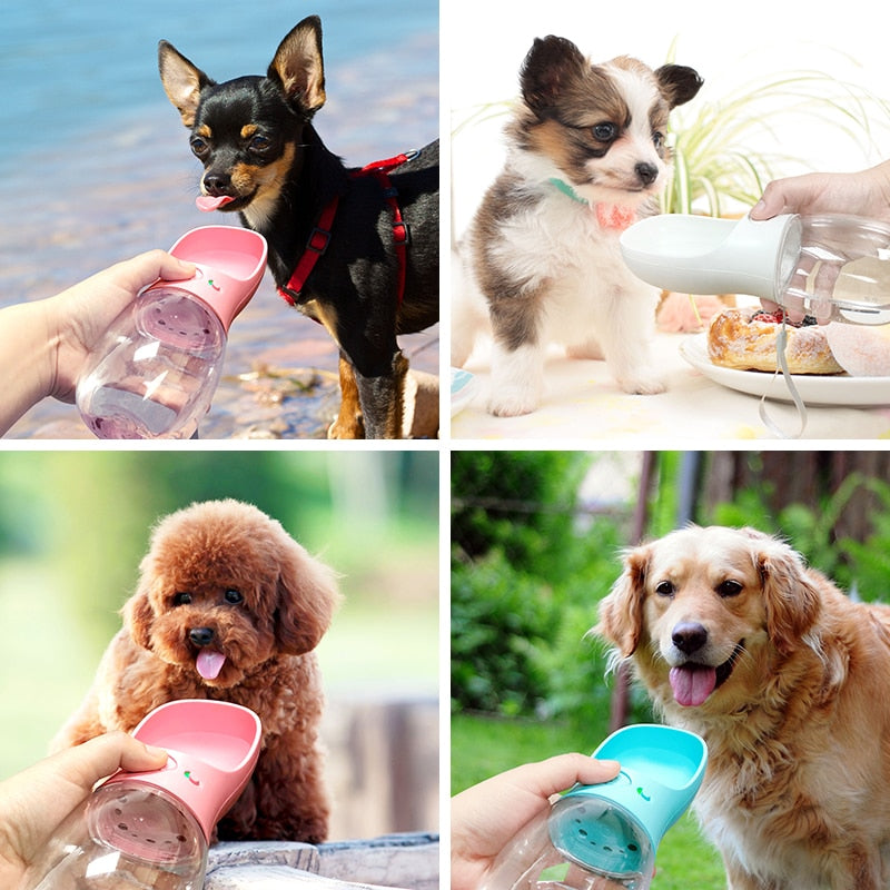 Outdoor Pet Water Bottle