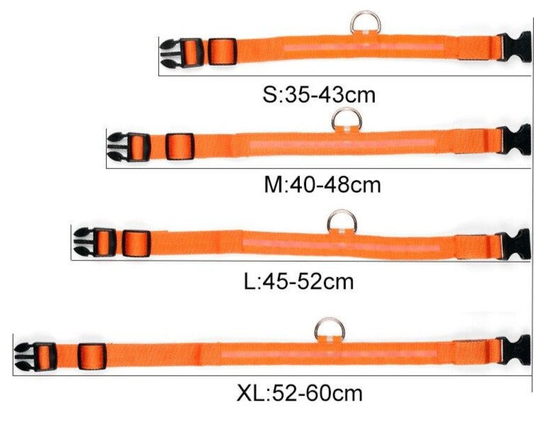 LED Collar