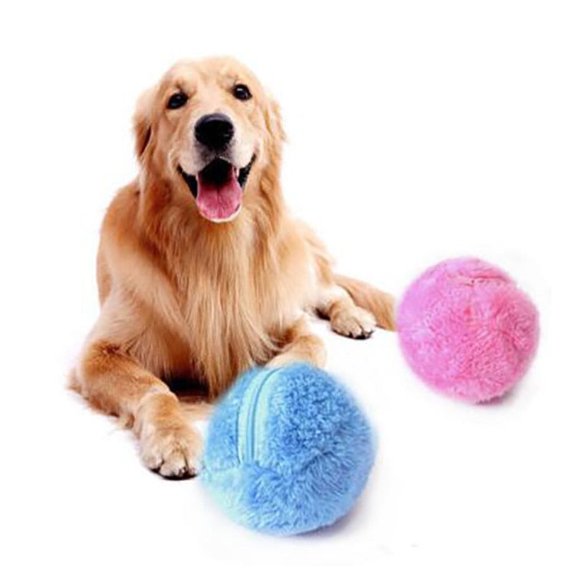 Magic Roll Ball