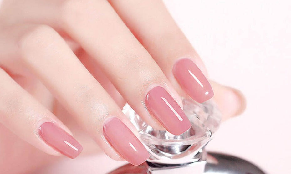 Luxury Poly Gel Nail Kit