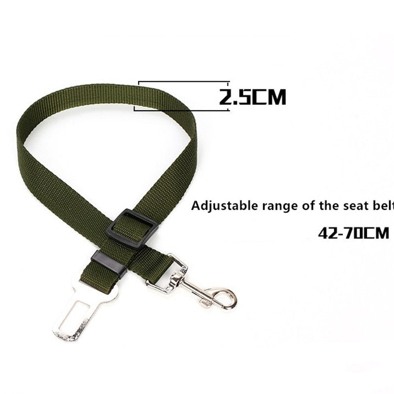 Dog Car Seat Belt