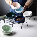 Shell Ceramic Food Bowl
