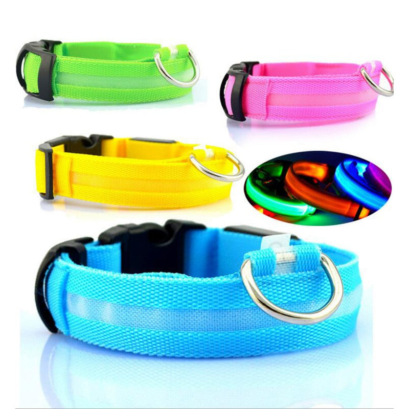 LED Collar
