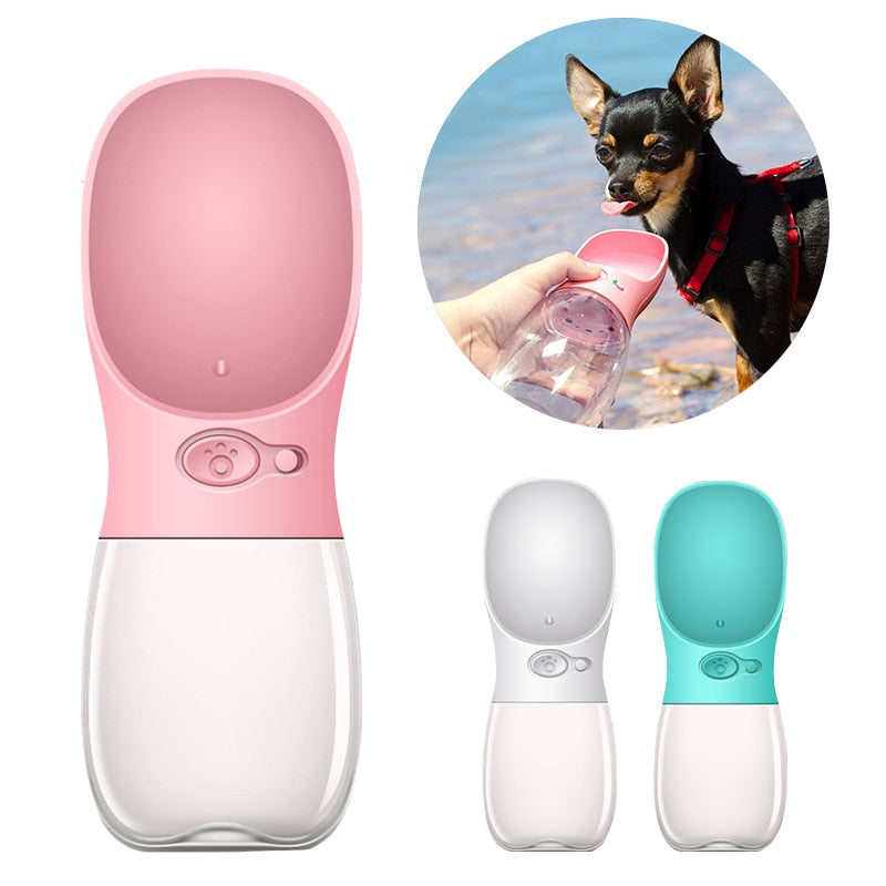 Outdoor Pet Water Bottle