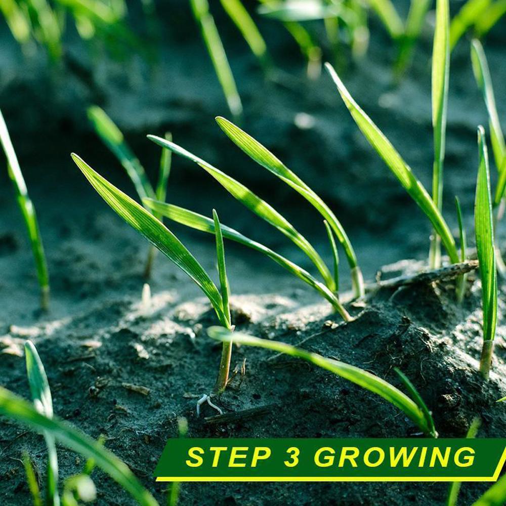 Bio Degradable Garden Grass Mats