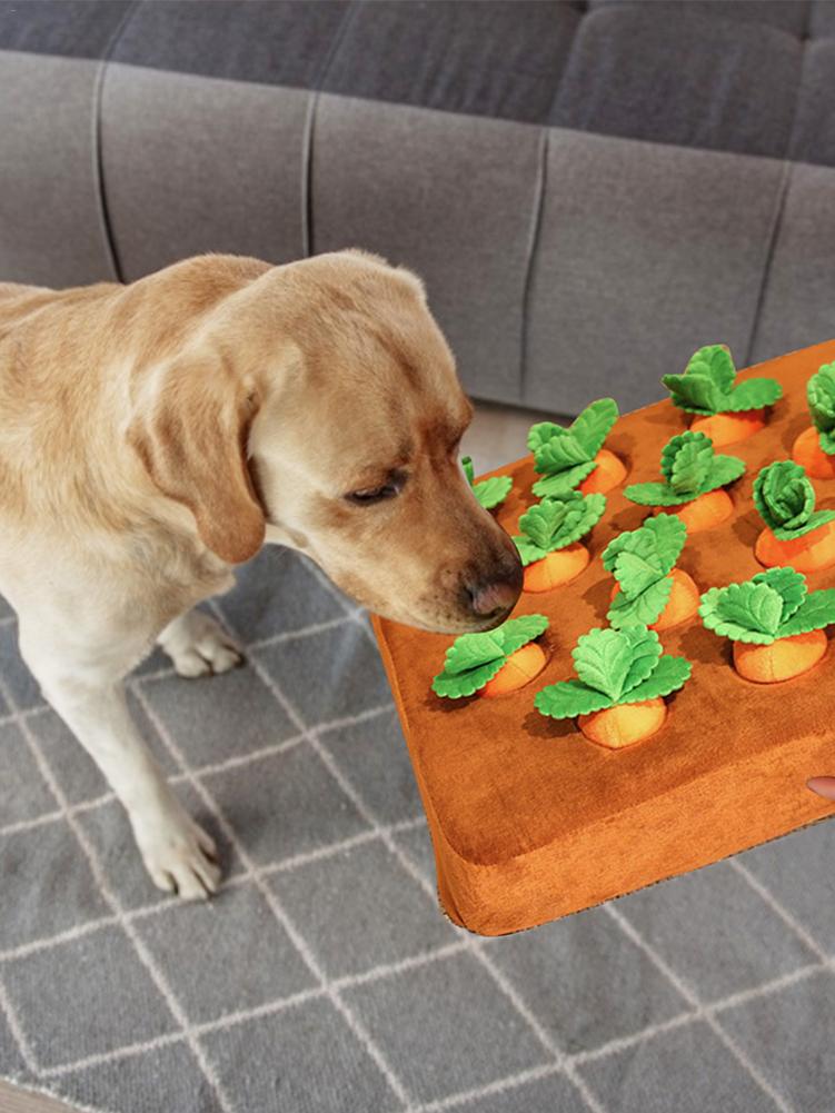 Dog Carrot Plush Toy