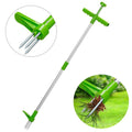 Weed remover with long handle