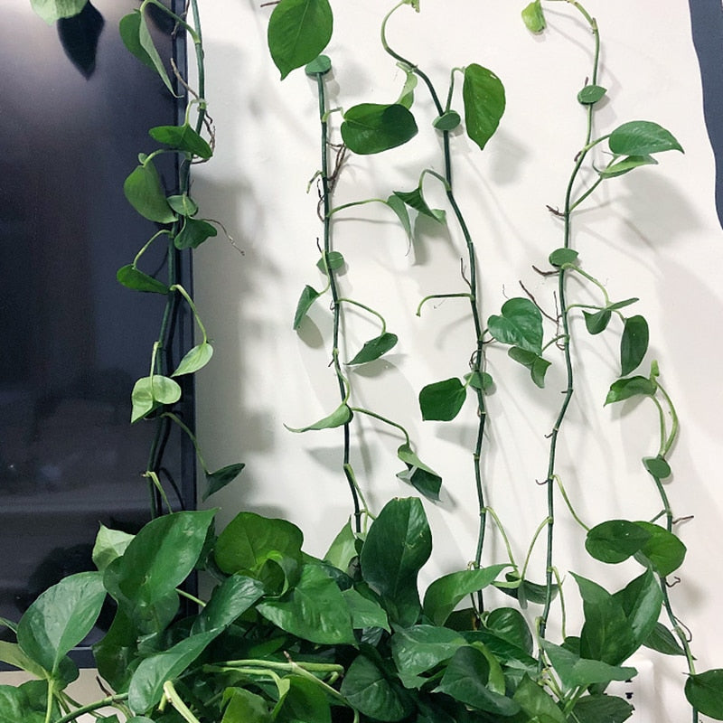 Plant Climbing Object Attachment Clip