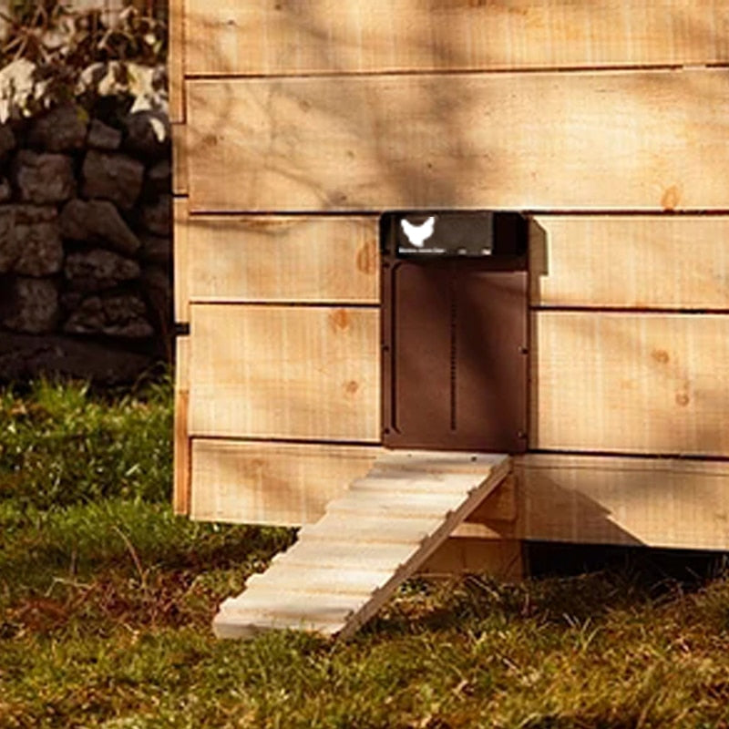 Automatic chicken coop door