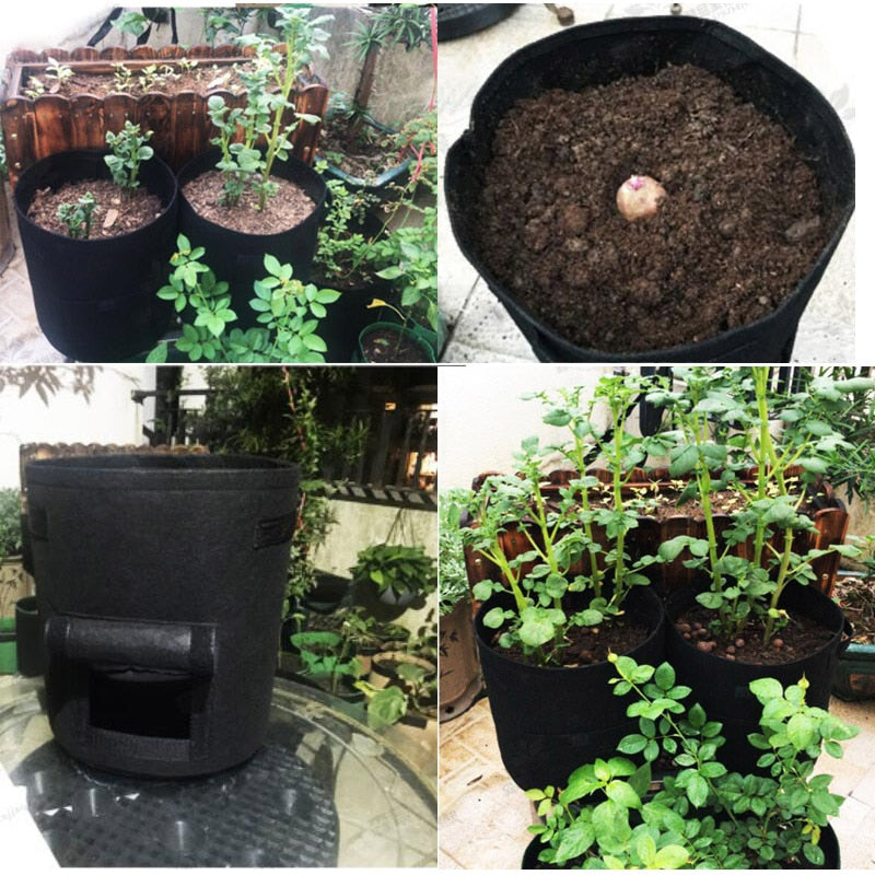 Plant Growth Bag