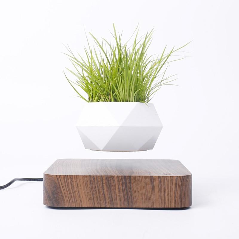 Lifting Air Bonsai Pot