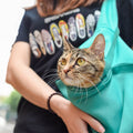 Comfy Cat Travel Case