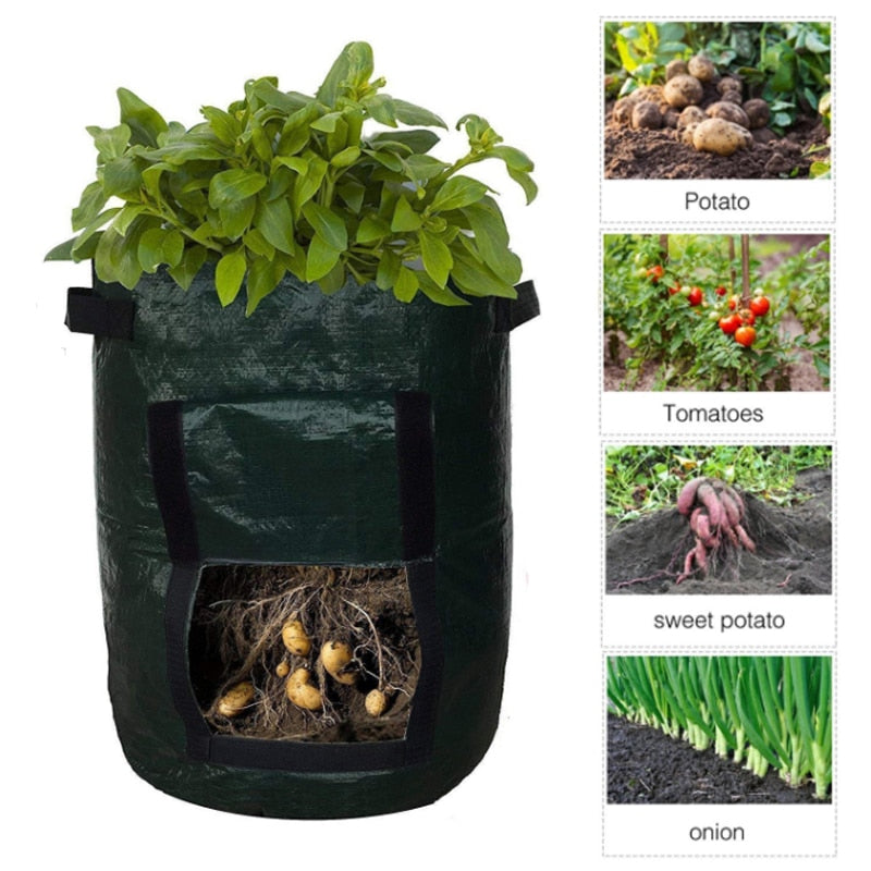 Potato Growing Bag