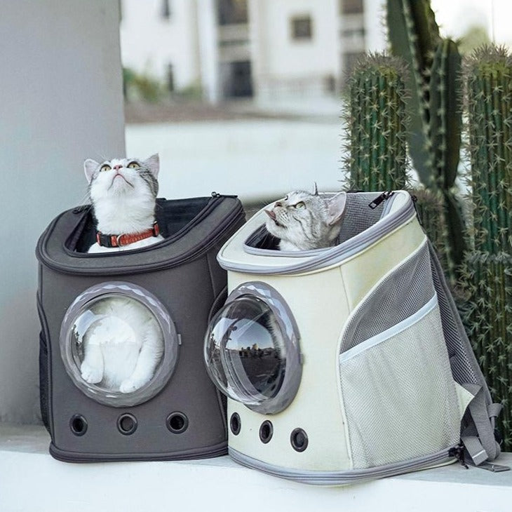 Pet travel basket
