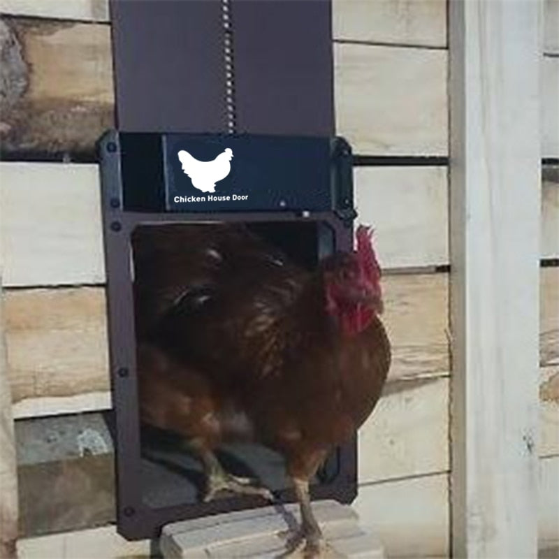 Automatic chicken coop door