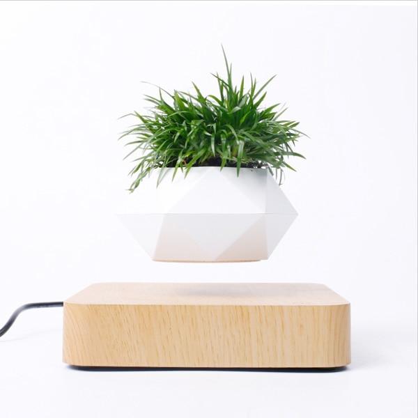 Lifting Air Bonsai Pot