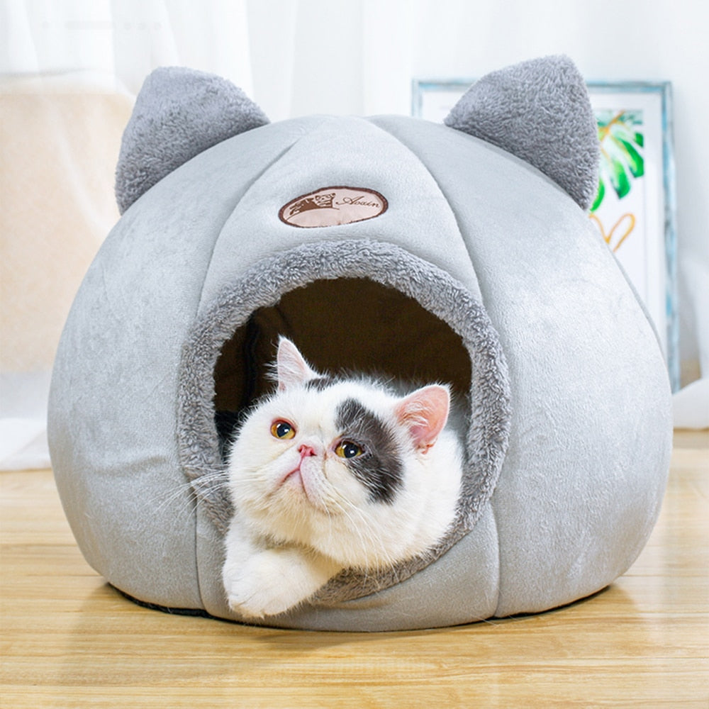 COMFY - Relaxing Cat House