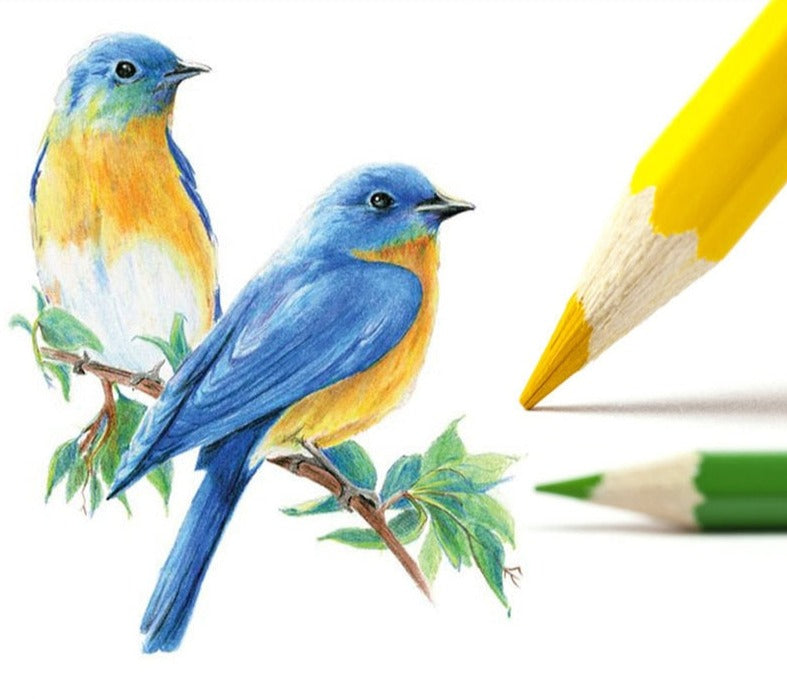 High Quality Colored Pencils