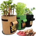 Plant Growth Bag