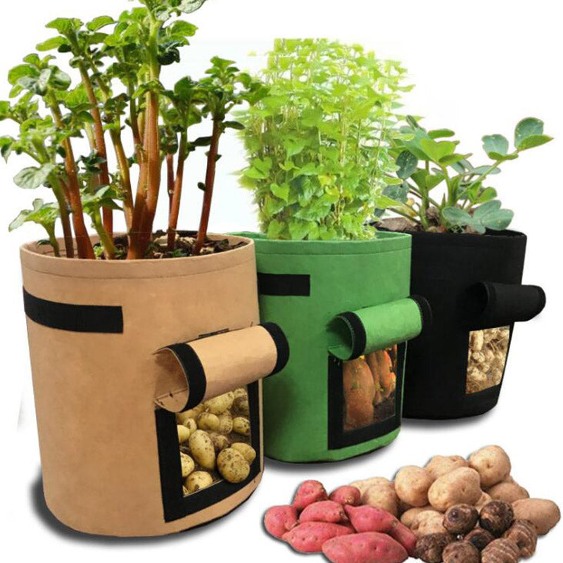 Plant Growth Bag