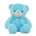 Leddy the teddy