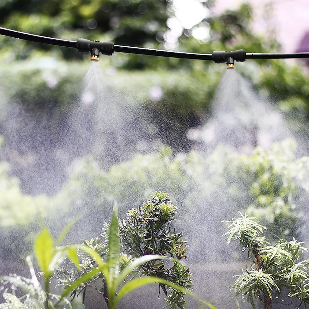 Garden Mist