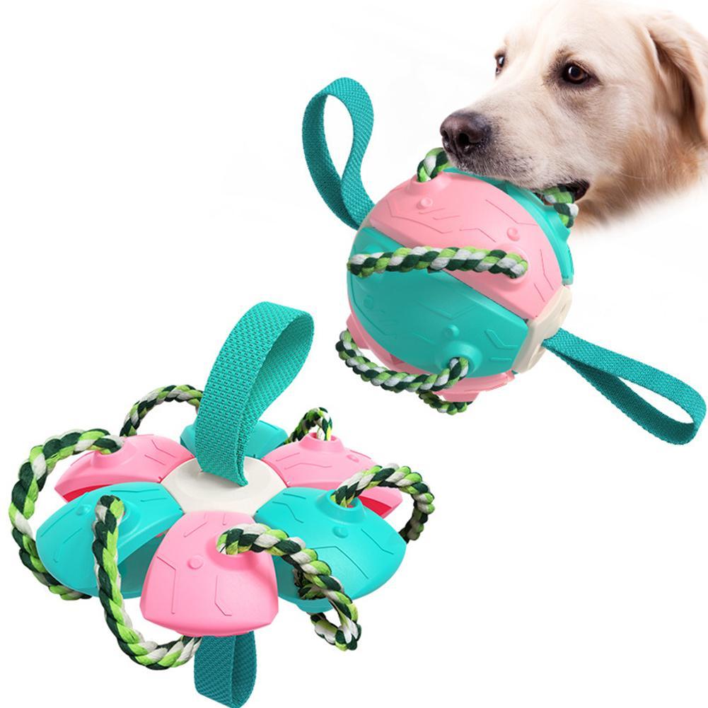 Interactive frisbee ball dog toy