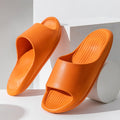 Air Cushion Slippers