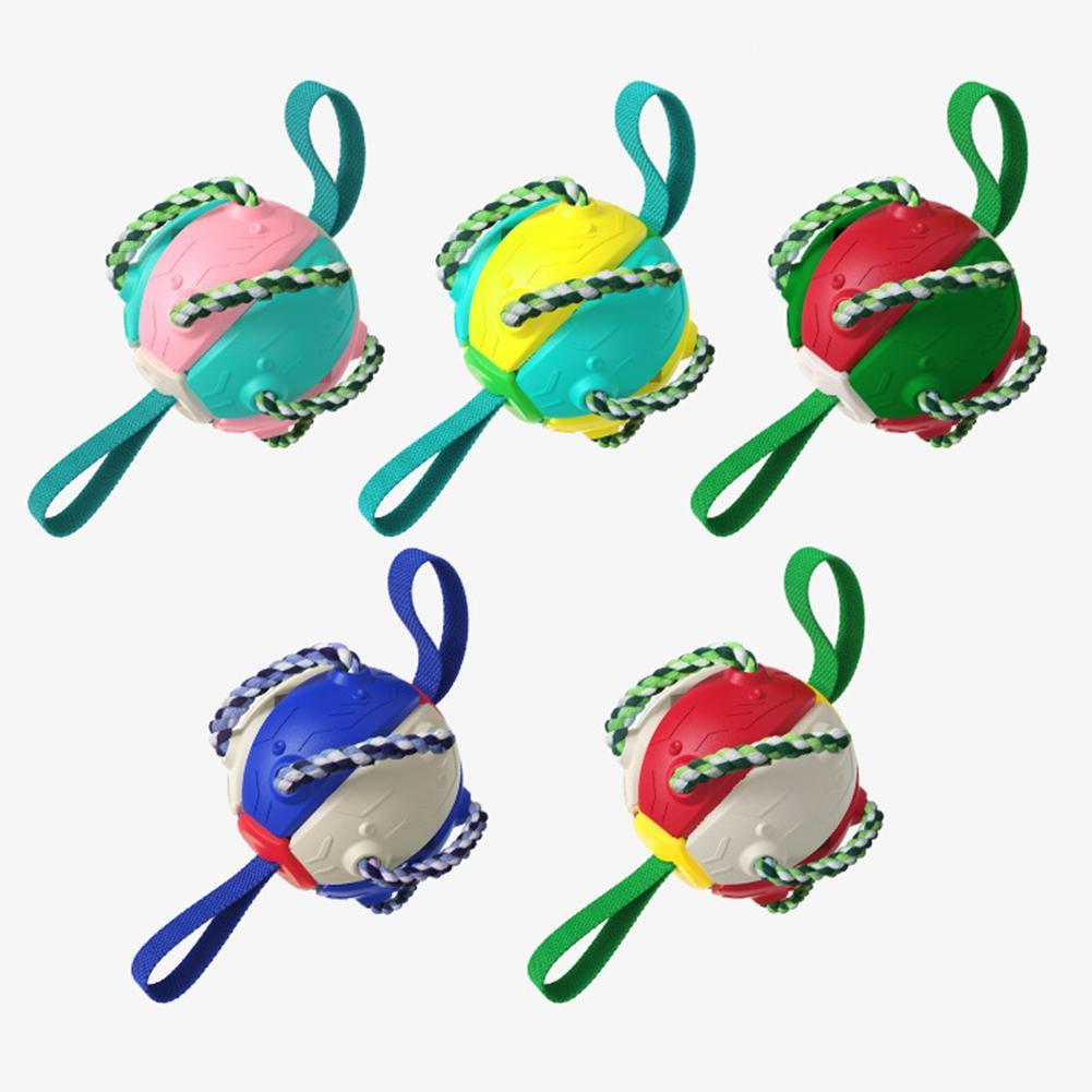 Interactive frisbee ball dog toy