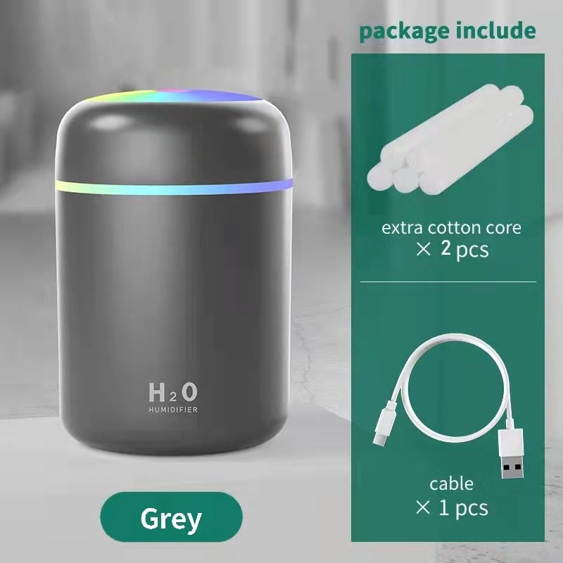 H2O Air Humidifier