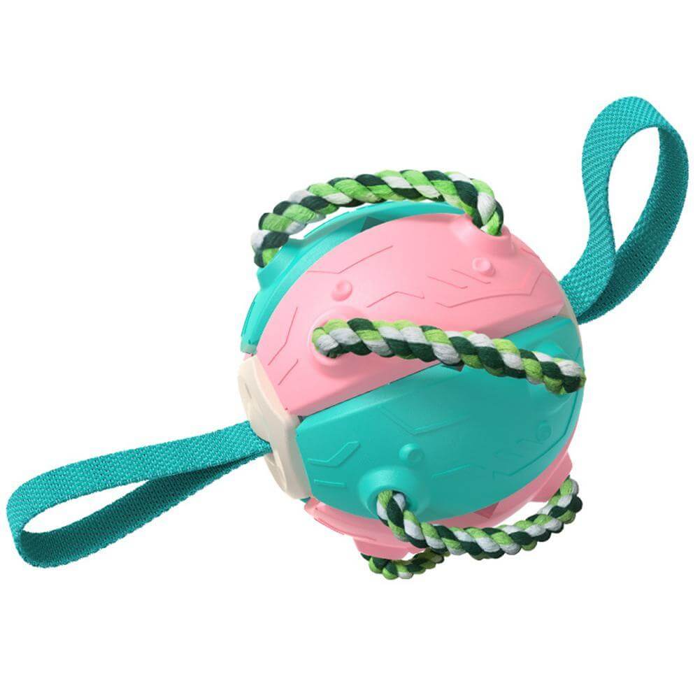 Interactive frisbee ball dog toy