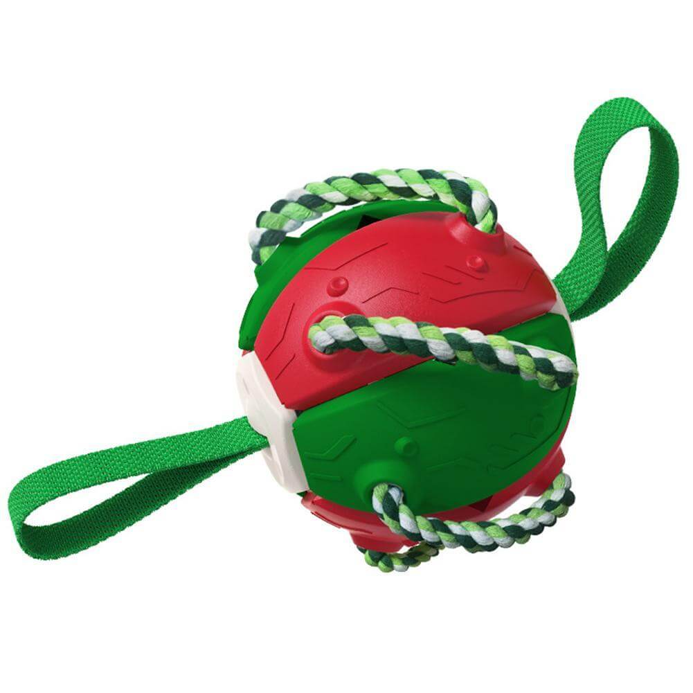 Interactive frisbee ball dog toy