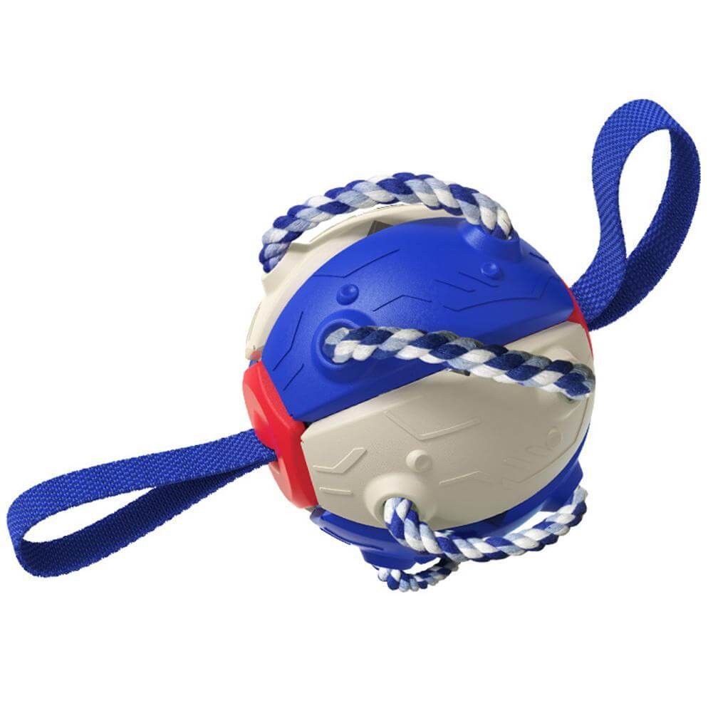 Interactive frisbee ball dog toy
