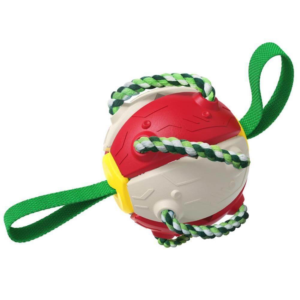 Interactive frisbee ball dog toy