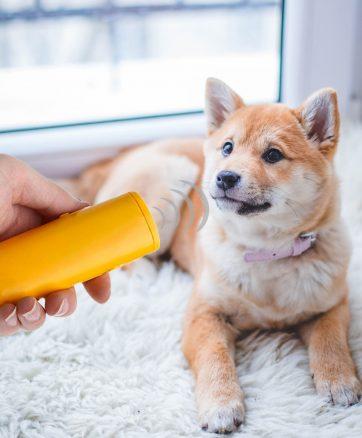 Anti-barking Dog Trainer