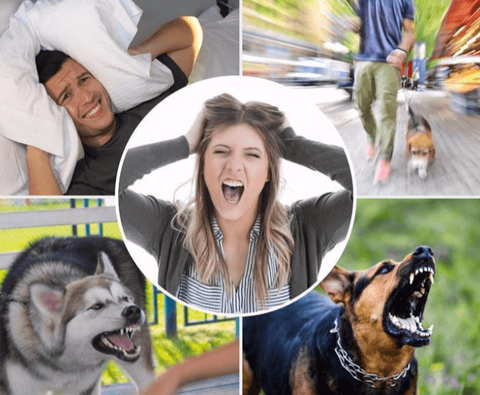 Anti-barking Dog Trainer