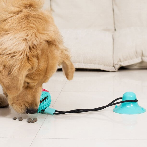 Interactive Dog Chewing Toy
