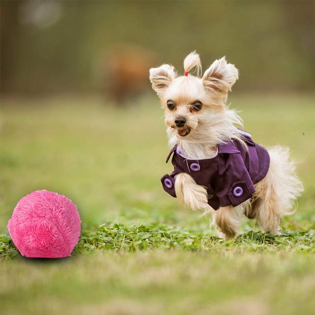 Magic Roll Ball