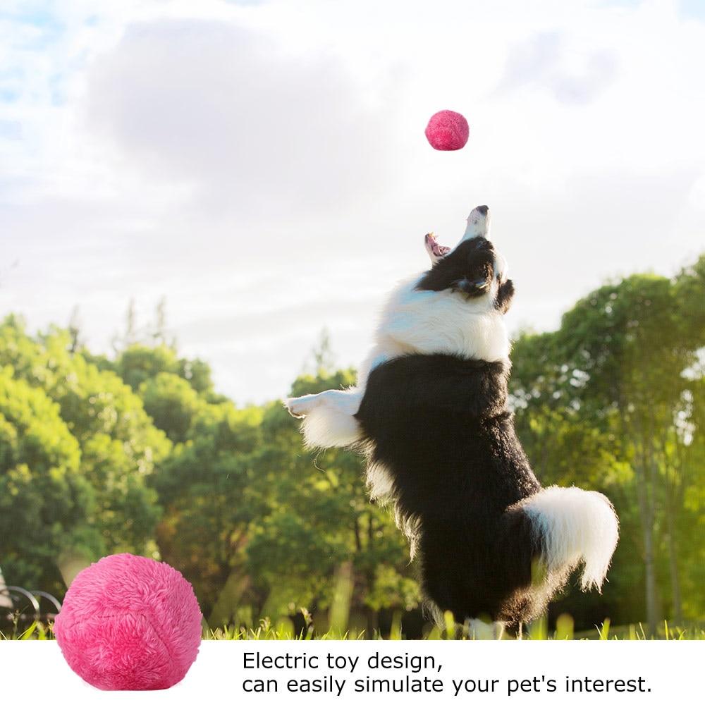 Magic Roll Ball