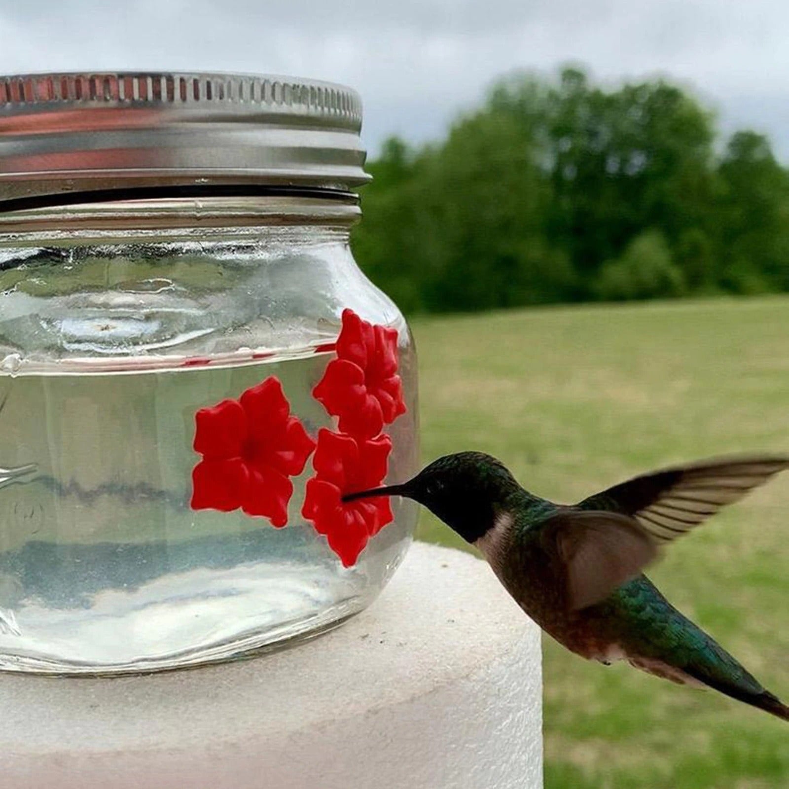 Hummingbird feeder with portal flower