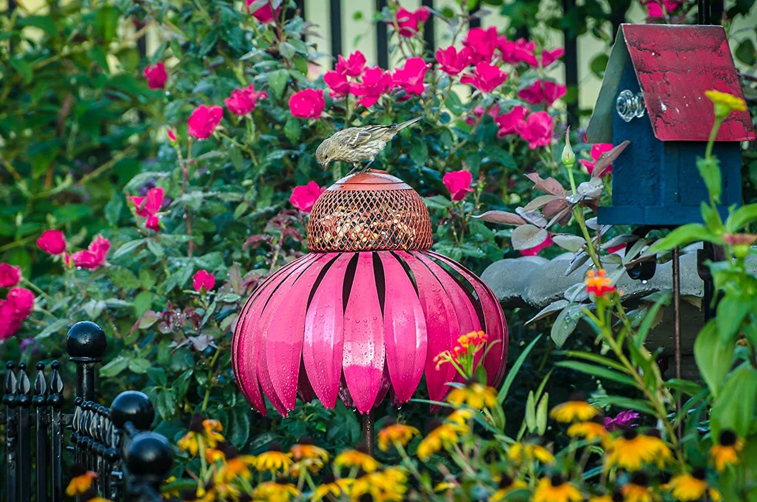 Coneflower Bird Feeder