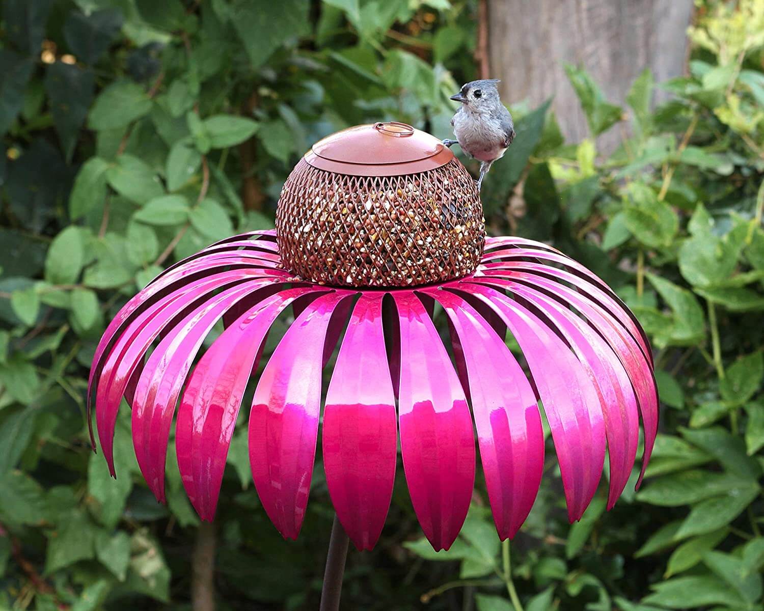 Coneflower Bird Feeder