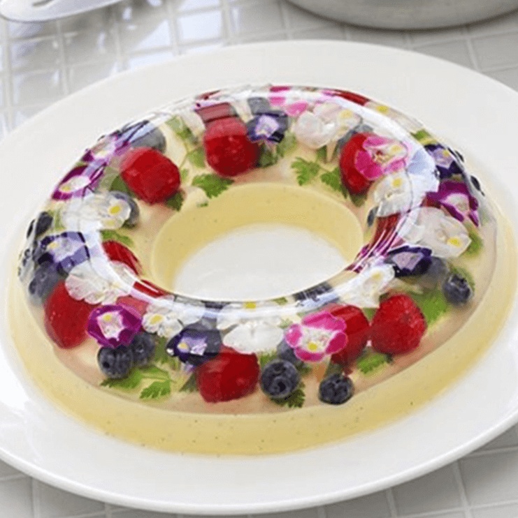 3D Gelatin Art Starter Set