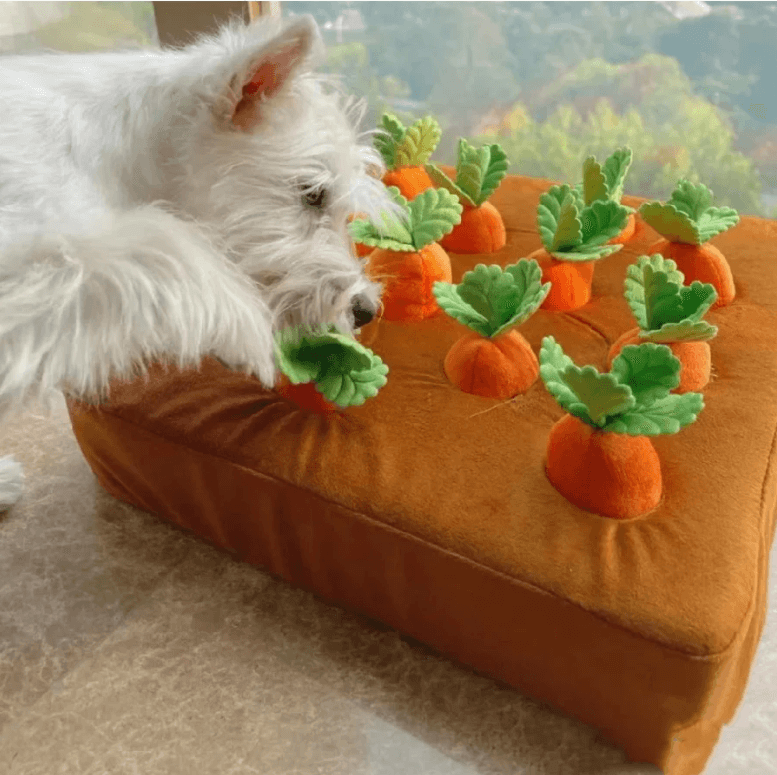 Dog Carrot Plush Toy