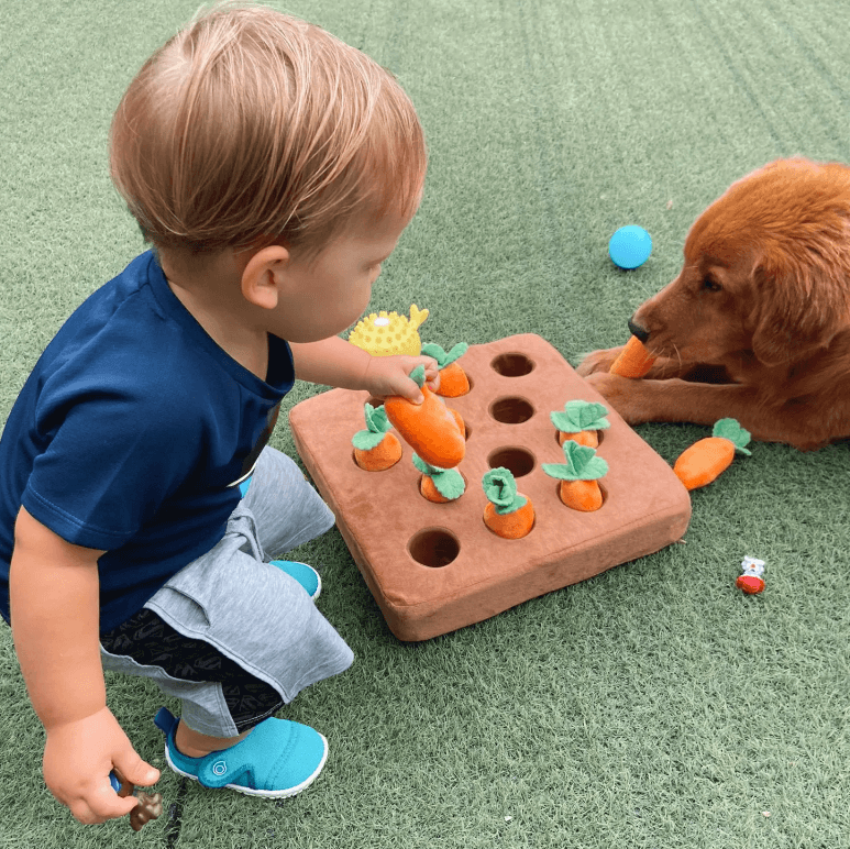 Dog Carrot Plush Toy