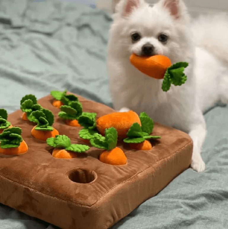 Dog Carrot Plush Toy
