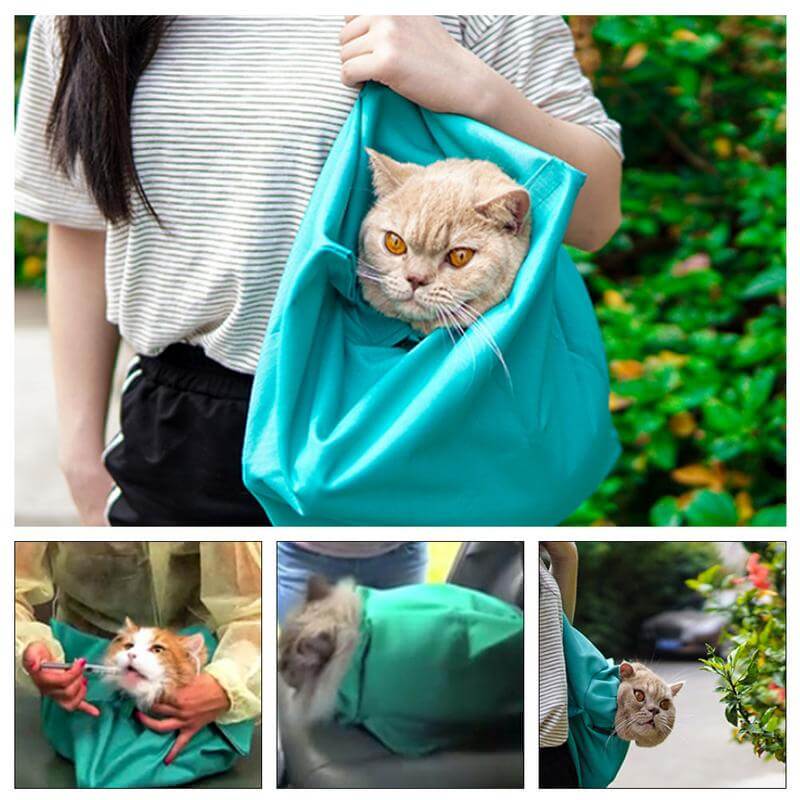 Comfy Cat Travel Case