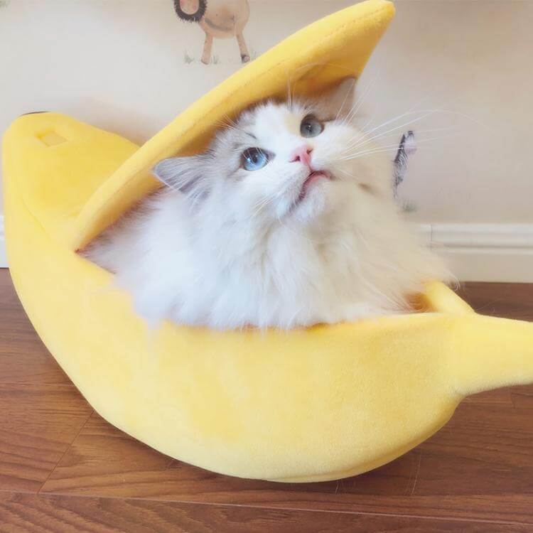 Funny Banana Cat Bed