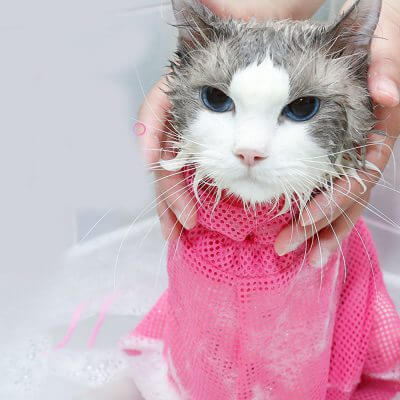 Pet Grooming Bath Bag