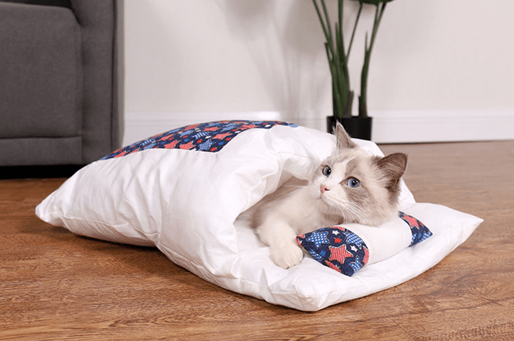 Kattsovepose